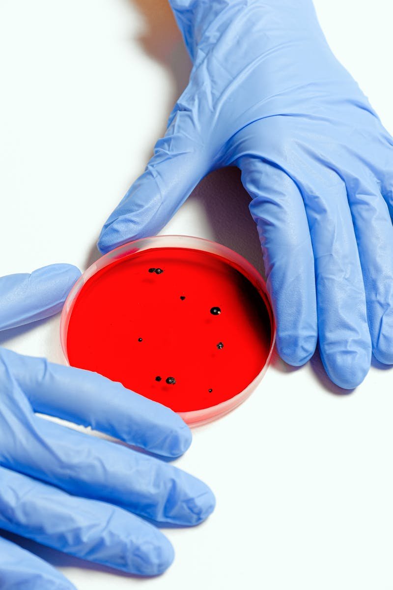 Tannic Acid Manufacturing Company